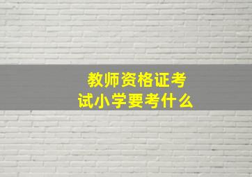 教师资格证考试小学要考什么