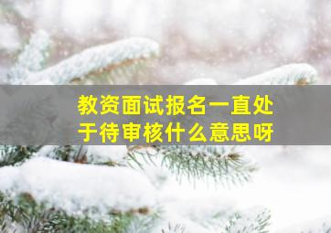 教资面试报名一直处于待审核什么意思呀