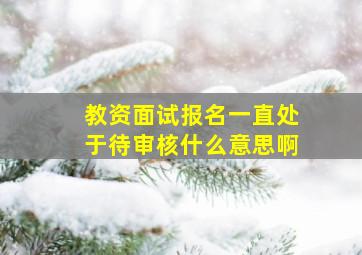 教资面试报名一直处于待审核什么意思啊