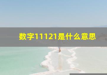 数字11121是什么意思