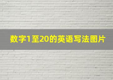 数字1至20的英语写法图片