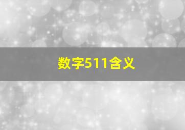 数字511含义