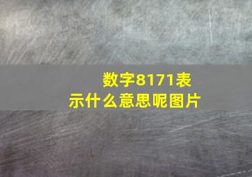 数字8171表示什么意思呢图片