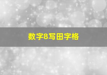 数字8写田字格