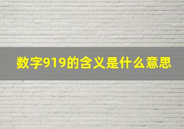 数字919的含义是什么意思