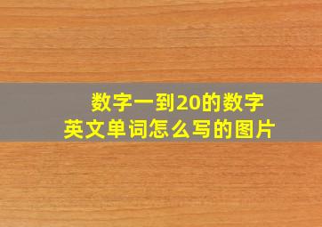 数字一到20的数字英文单词怎么写的图片