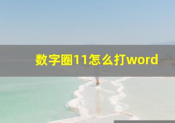 数字圈11怎么打word