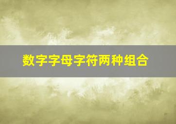 数字字母字符两种组合