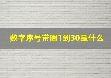 数字序号带圈1到30是什么