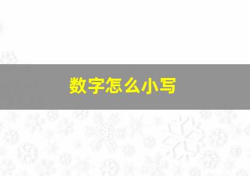 数字怎么小写