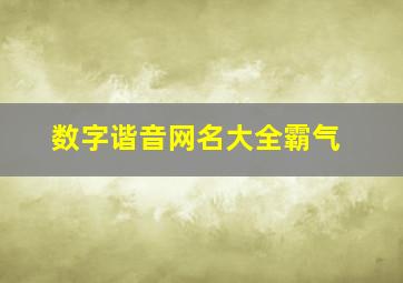 数字谐音网名大全霸气