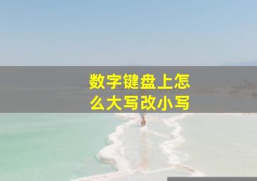 数字键盘上怎么大写改小写