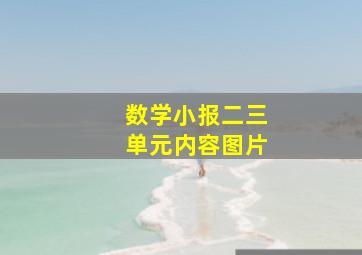 数学小报二三单元内容图片