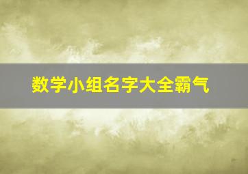 数学小组名字大全霸气