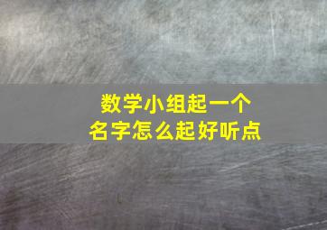 数学小组起一个名字怎么起好听点