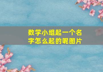 数学小组起一个名字怎么起的呢图片