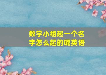 数学小组起一个名字怎么起的呢英语