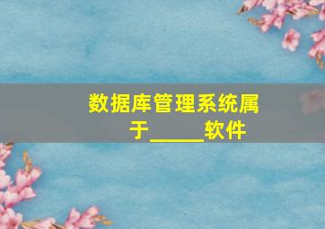 数据库管理系统属于_____软件