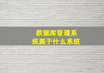 数据库管理系统属于什么系统