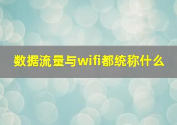 数据流量与wifi都统称什么