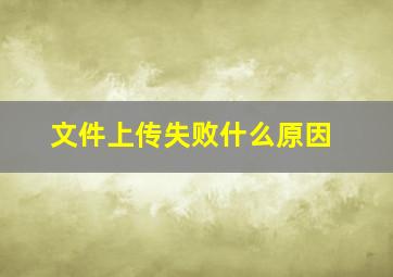 文件上传失败什么原因