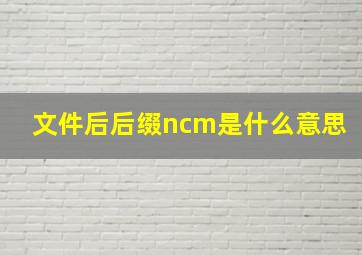 文件后后缀ncm是什么意思