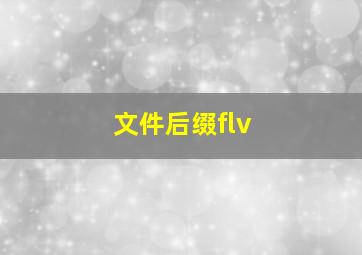 文件后缀flv