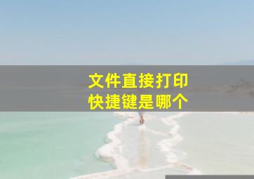 文件直接打印快捷键是哪个