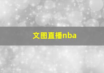 文图直播nba