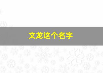 文龙这个名字