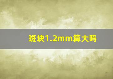 斑块1.2mm算大吗