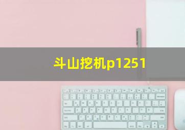 斗山挖机p1251