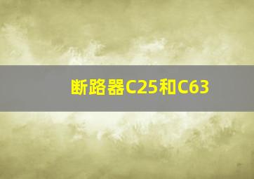 断路器C25和C63