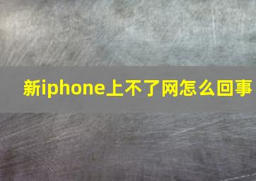 新iphone上不了网怎么回事