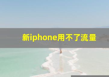 新iphone用不了流量