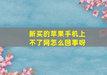 新买的苹果手机上不了网怎么回事呀