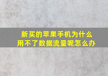 新买的苹果手机为什么用不了数据流量呢怎么办