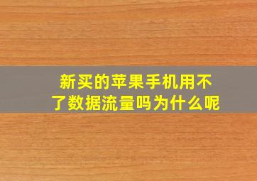 新买的苹果手机用不了数据流量吗为什么呢