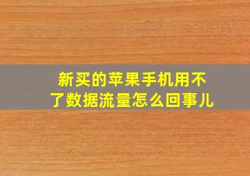 新买的苹果手机用不了数据流量怎么回事儿