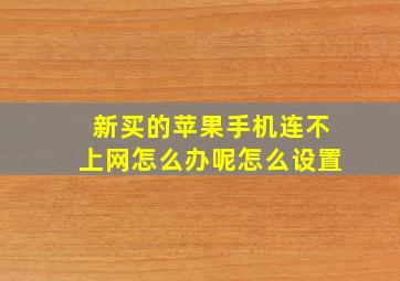 新买的苹果手机连不上网怎么办呢怎么设置