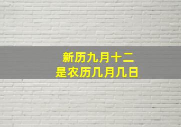 新历九月十二是农历几月几日