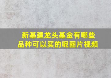 新基建龙头基金有哪些品种可以买的呢图片视频