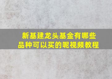 新基建龙头基金有哪些品种可以买的呢视频教程