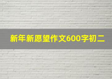 新年新愿望作文600字初二