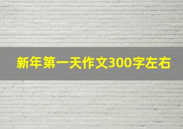 新年第一天作文300字左右