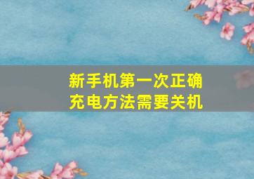 新手机第一次正确充电方法需要关机