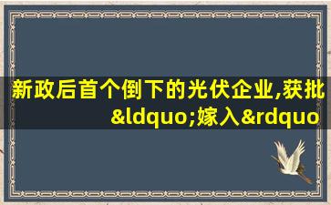 新政后首个倒下的光伏企业,获批“嫁入”山东国企