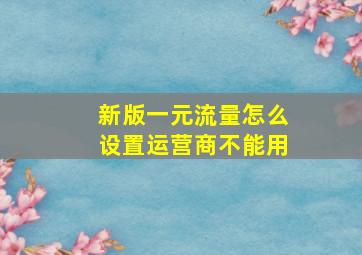 新版一元流量怎么设置运营商不能用