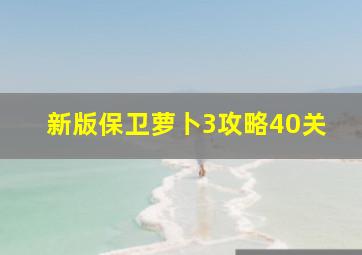 新版保卫萝卜3攻略40关