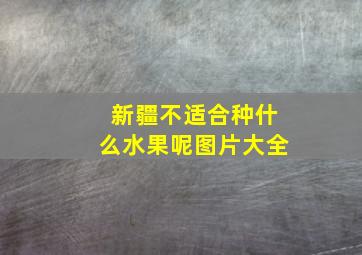 新疆不适合种什么水果呢图片大全